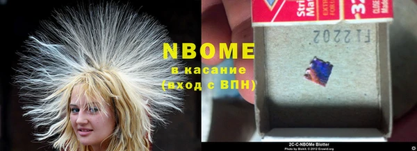 прущие грибы Белокуриха