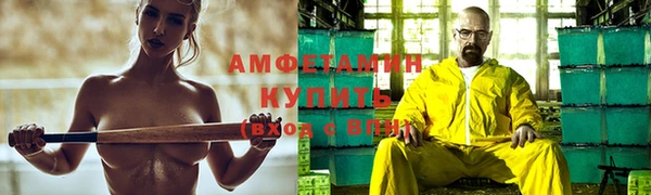прущие грибы Белокуриха