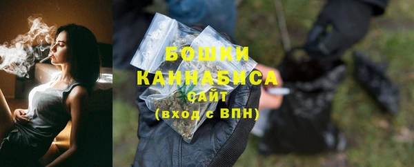 прущие грибы Белокуриха