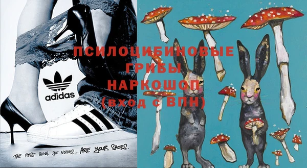 прущие грибы Белокуриха