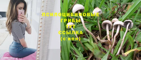 дистиллят марихуана Беломорск
