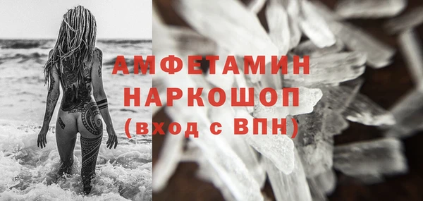 прущие грибы Белокуриха