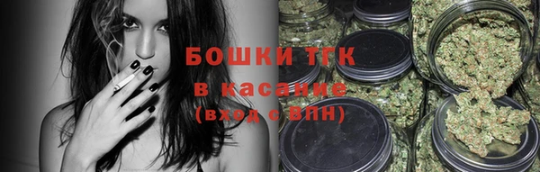 прущие грибы Белокуриха